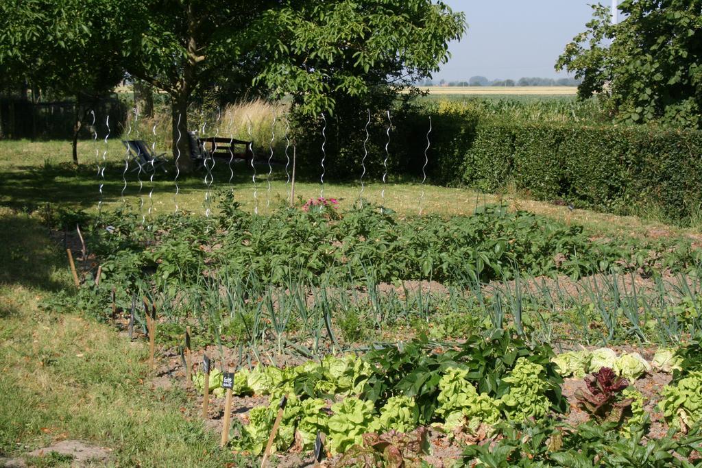 Paardenhof Guesthouse Esquelbecq Bagian luar foto