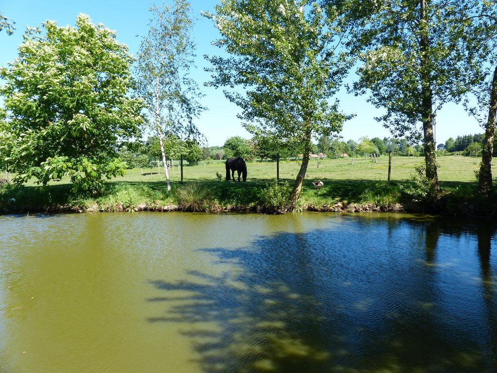 Paardenhof Guesthouse Esquelbecq Bagian luar foto