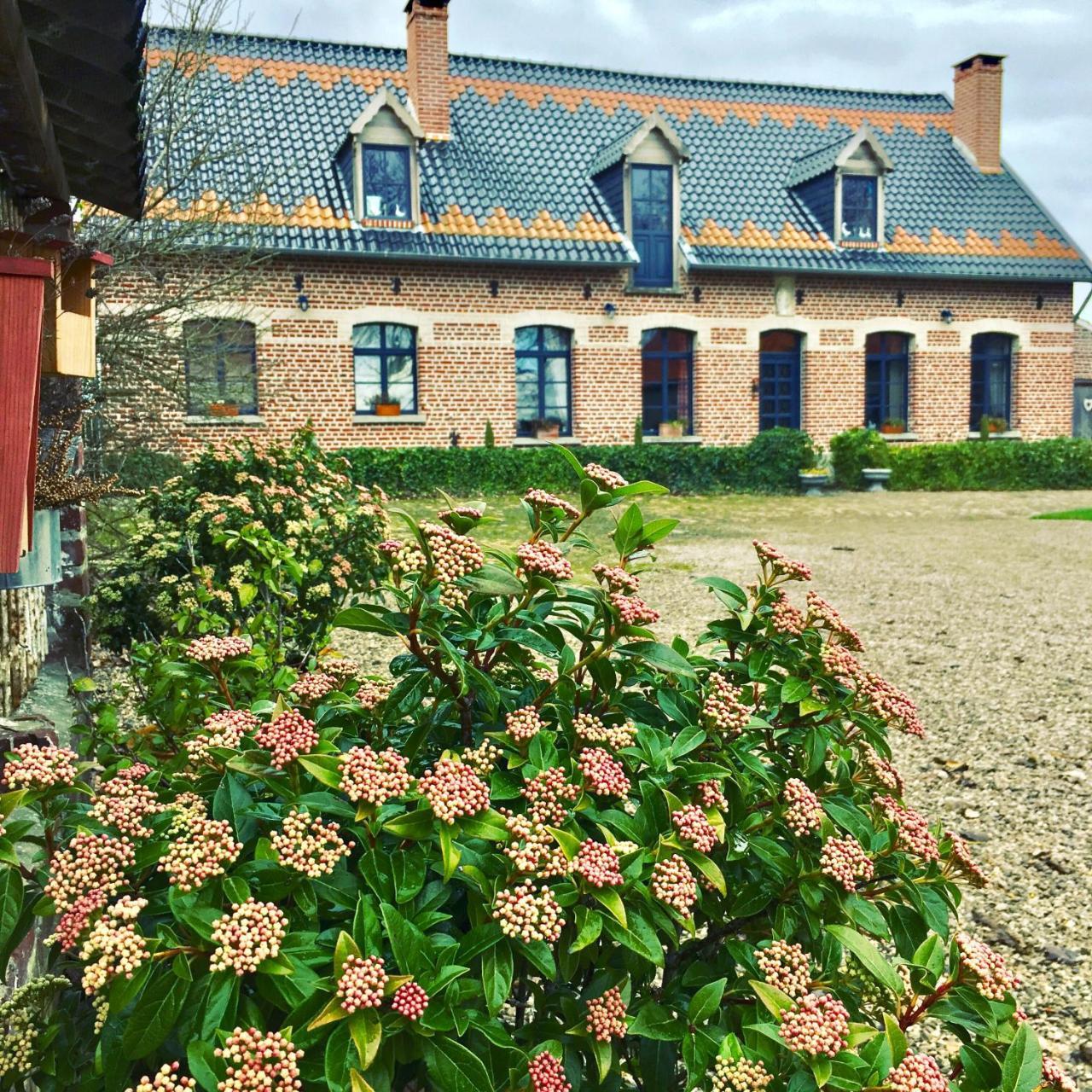 Paardenhof Guesthouse Esquelbecq Bagian luar foto